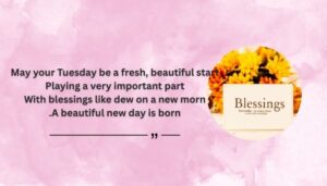 Beautiful Happy Tuesday Blessings for a Fresh Start