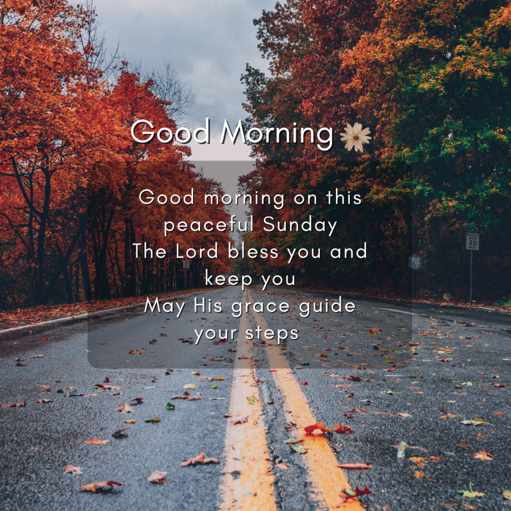 250+ Best Good Morning Sunday Blessings [2026]